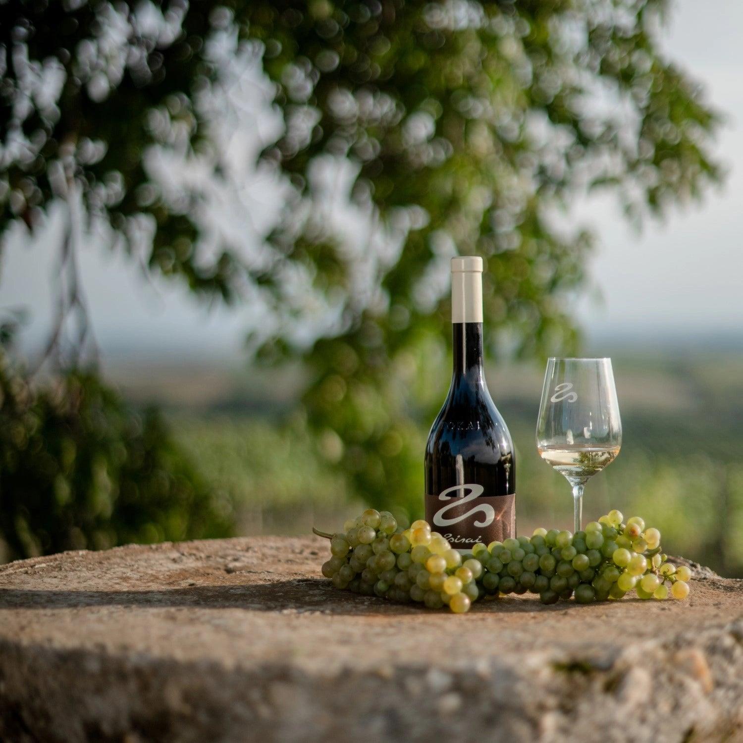 Tokaji Furmint Betsek 2018 - Weißwein trocken aus Ungarn