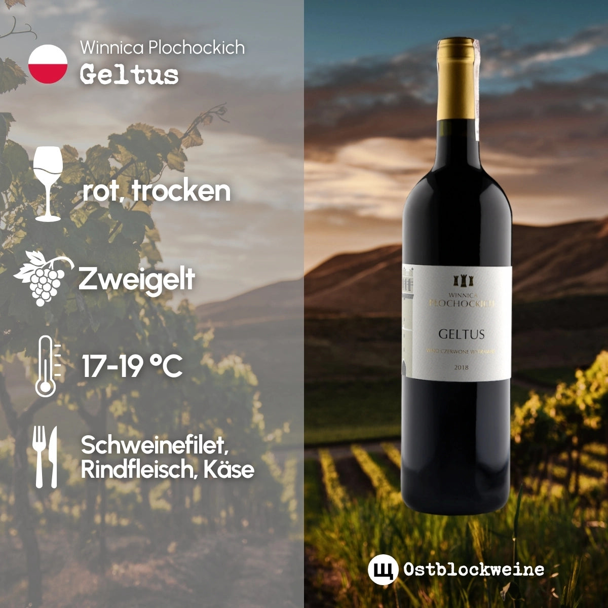 Geltus 2021 - Rotwein trocken aus Polen - Winnica Plochockich