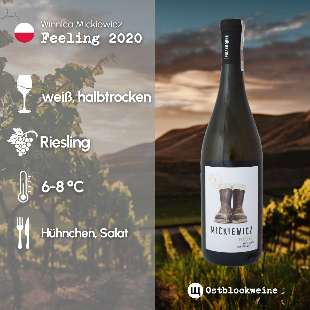 Riesling 2023 - Weißwein halbtrocken aus Polen