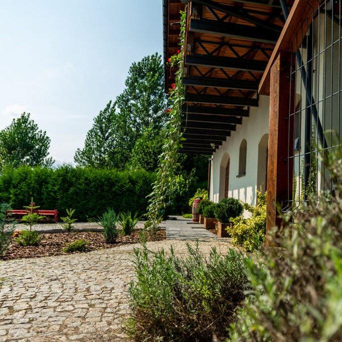 Geltus 2018 - Rotwein trocken aus Polen - ostblockweine