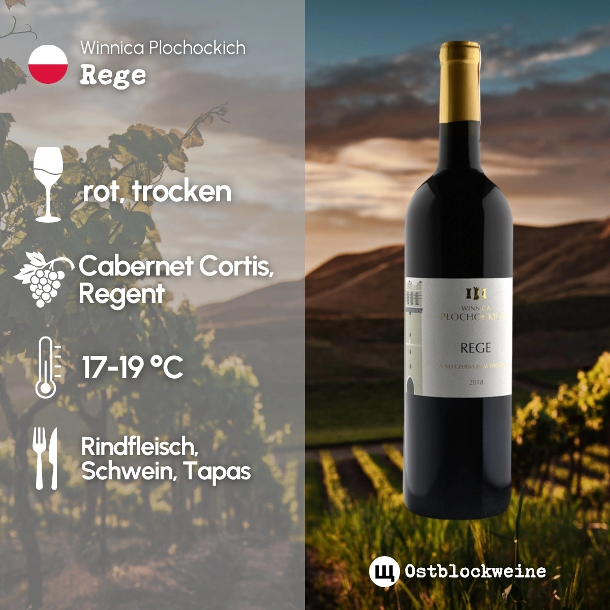 Rege 2020 - Rotwein trocken aus Polen - Winnica Plochockich