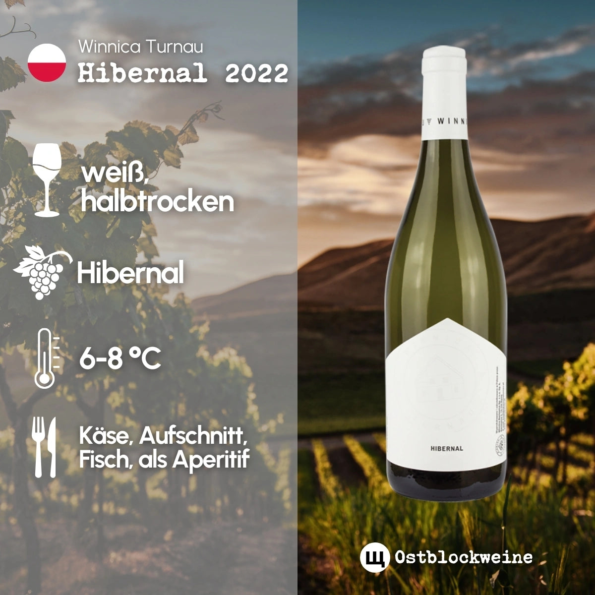Hibernal 2024 - Weißwein halbtrocken aus Polen - Winnica Turnau