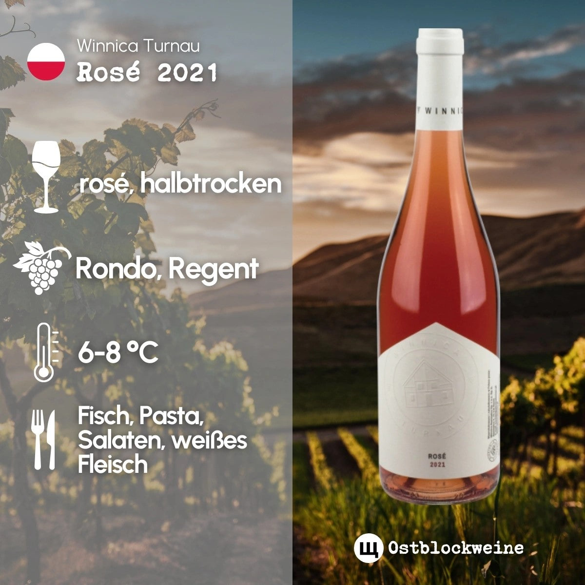 Rosé 2023 - halbtrocken aus Polen - Winnica Turnau