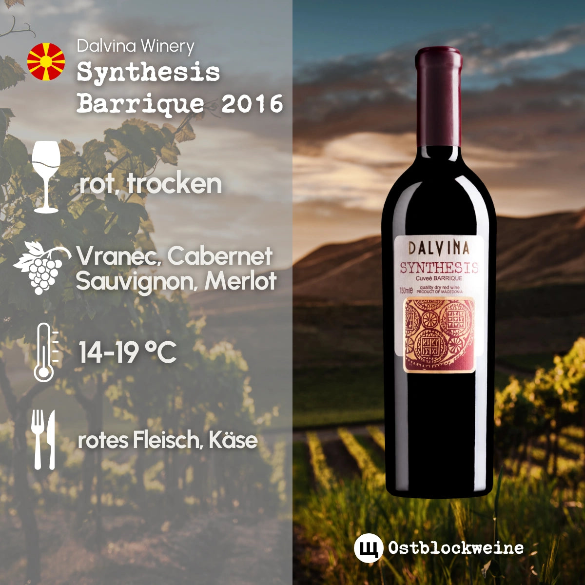 Synthesis Barrique 2016 - Rotwein trocken aus Nordmazedonien