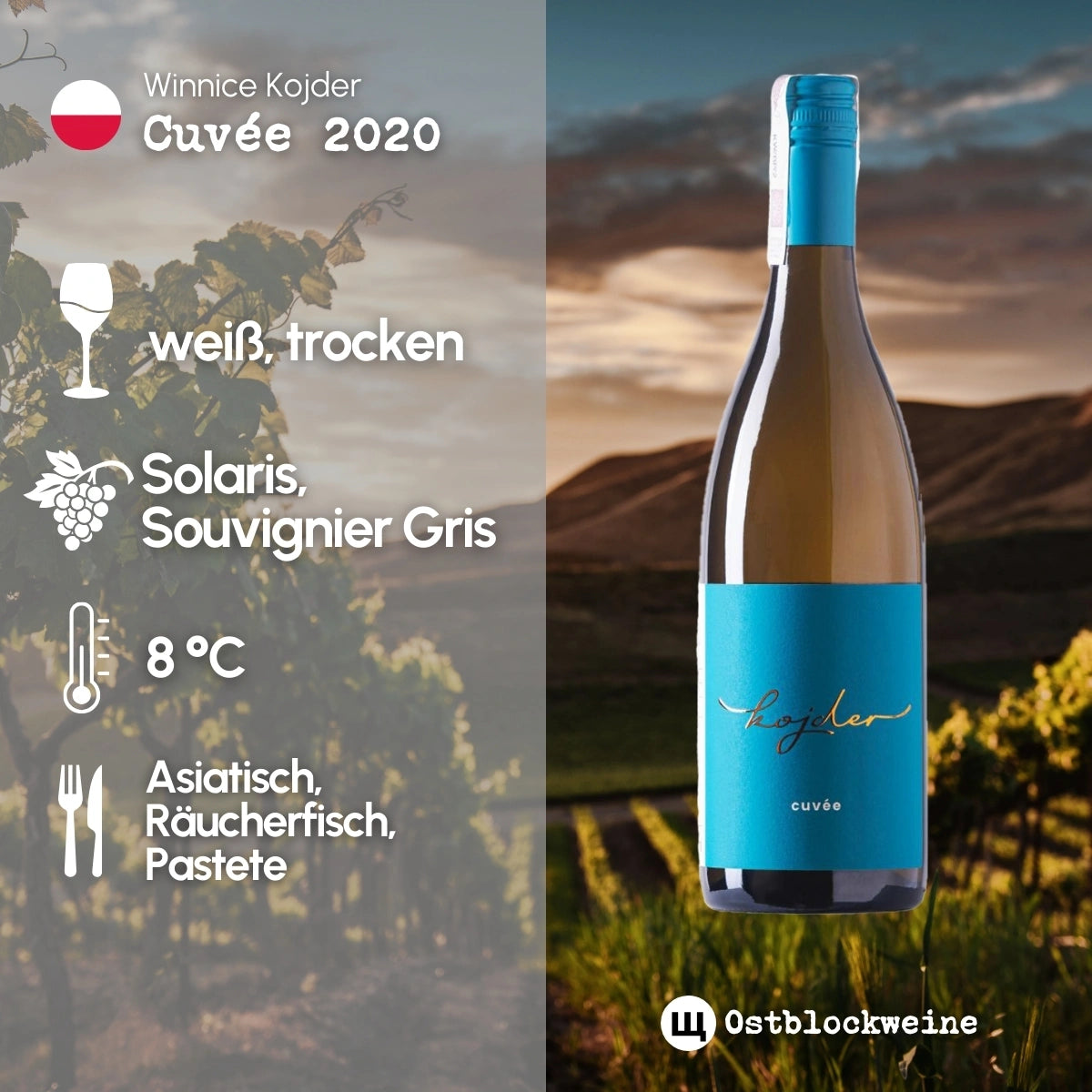 Cuvée 2022 - Bio-Weißwein trocken aus Polen