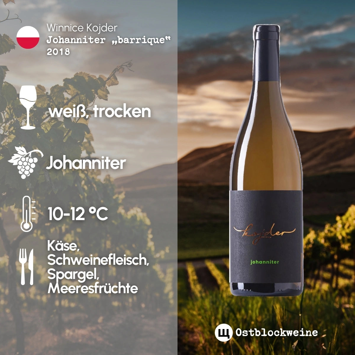 Johanniter "barrique" 2018 - Weißwein trocken aus Polen - Winnice Kojder - ostblockweine