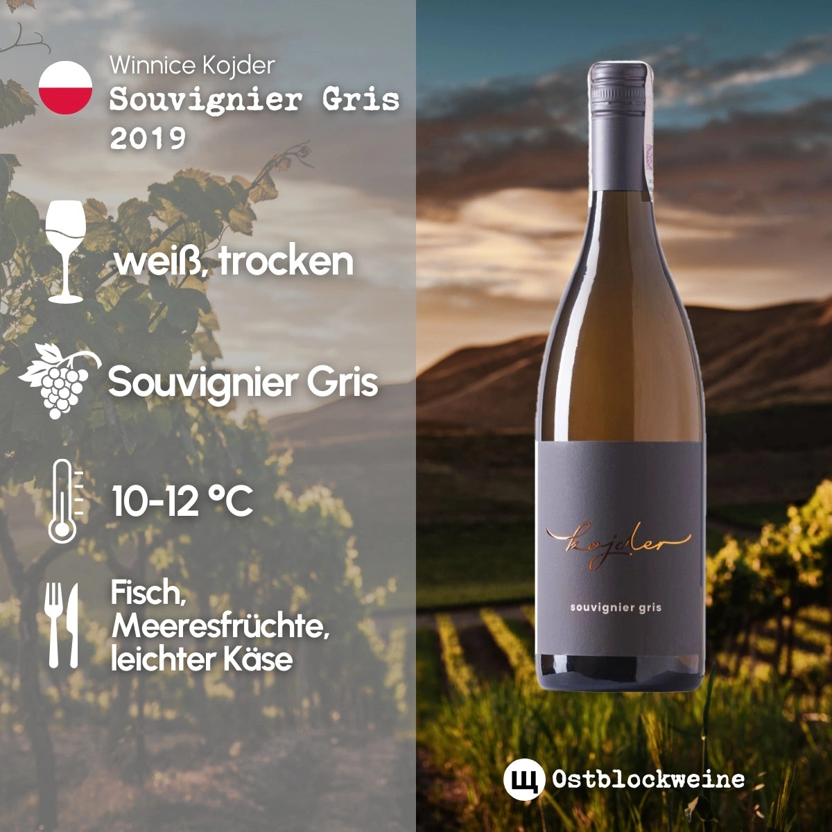 Souvignier Gris 2019 - Weißwein trocken aus Polen - Winnice Kojder - ostblockweine
