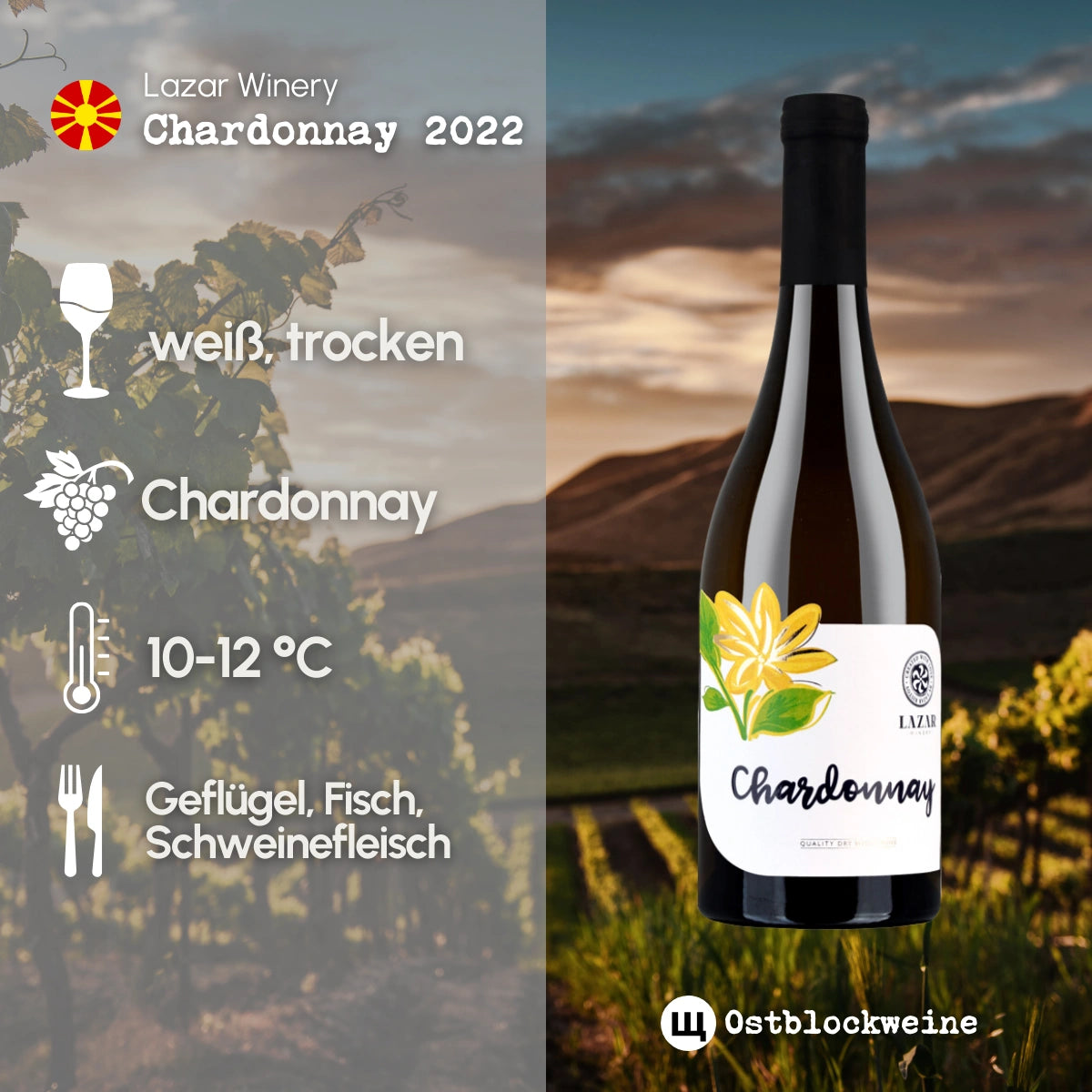 Chardonnay 2022 - Weißwein trocken aus Mazedonien