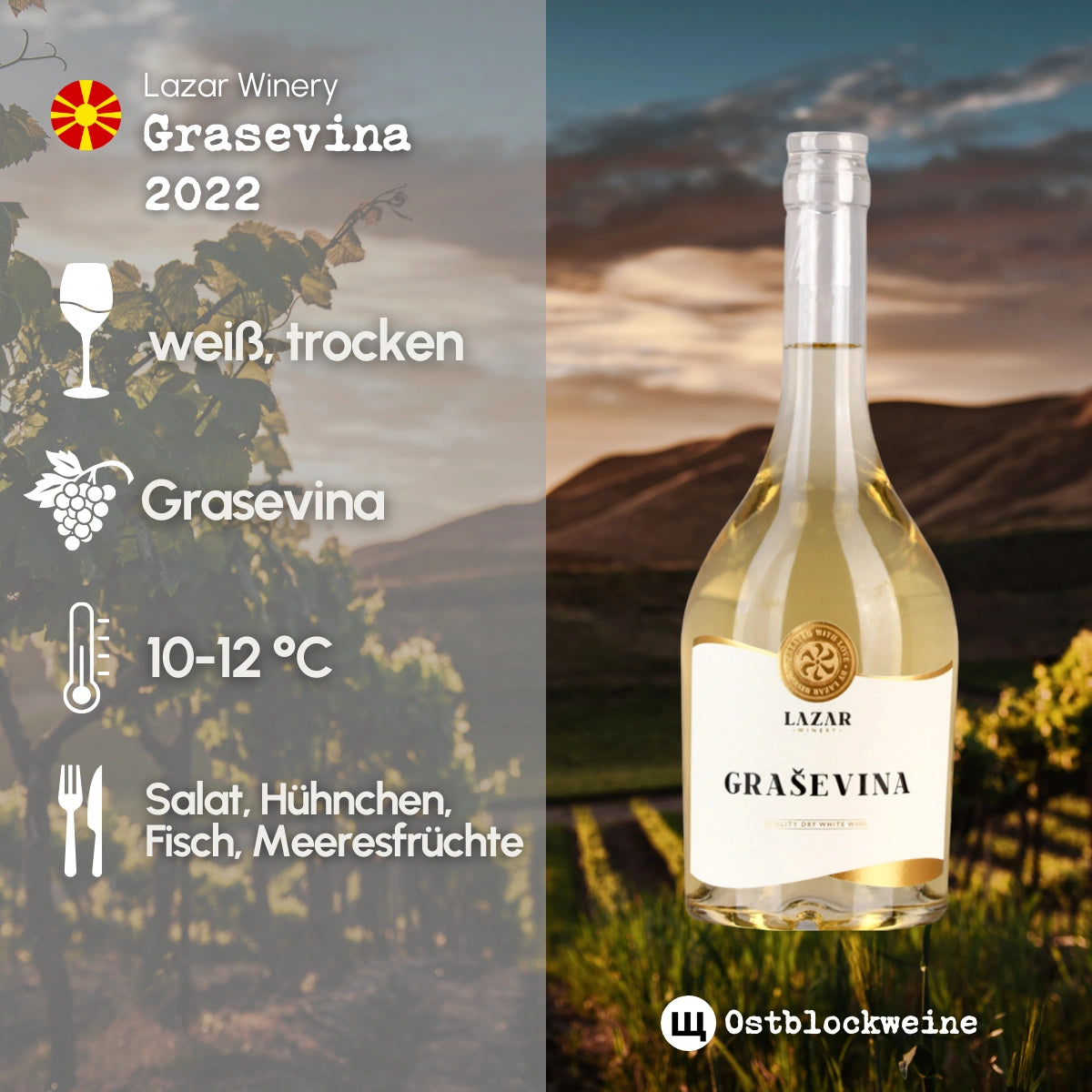 Grasevina 2022 - Weißwein trocken aus Mazedonien