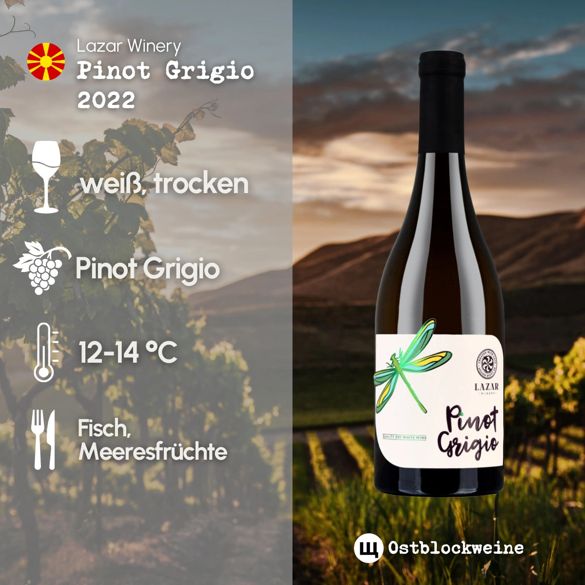 Pinot Grigio 2022 - Weißwein trocken aus Mazedonien