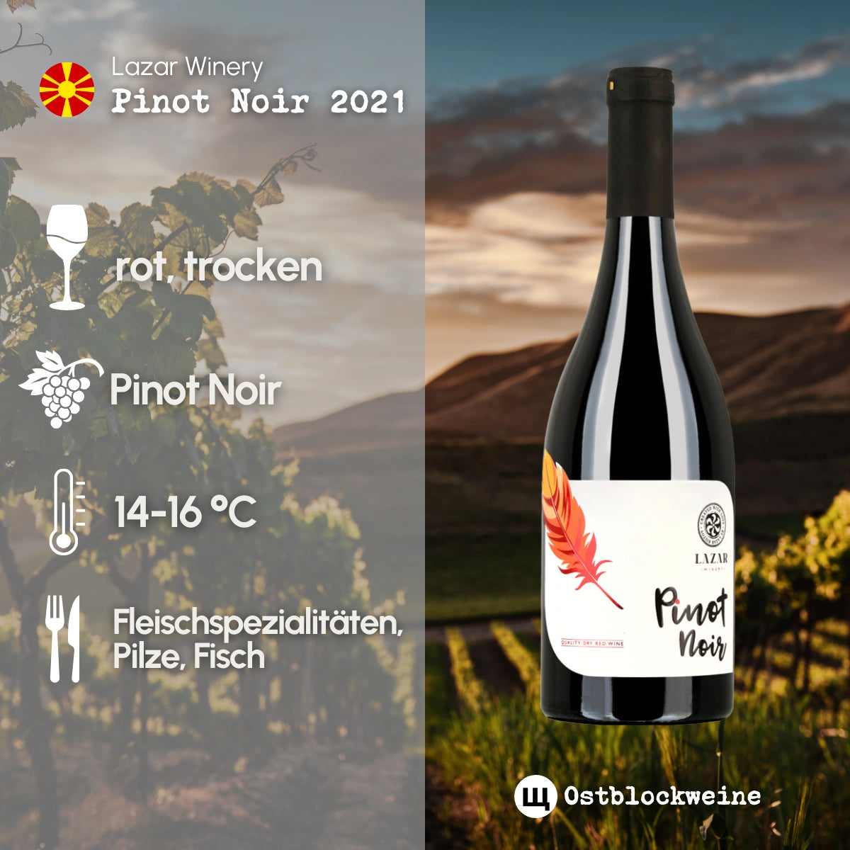 Pinot Noir 2021 - Rotwein trocken aus Mazedonien