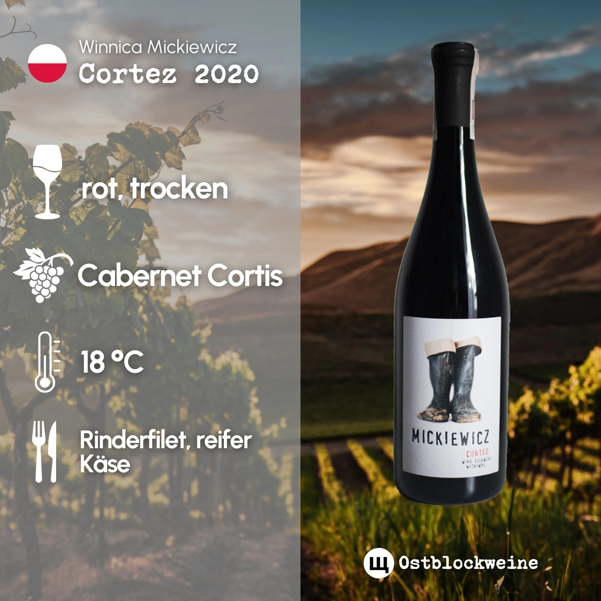 Cortez 2020 - Rotwein trocken aus Polen - Winnica Mickiewicz - ostblockweine