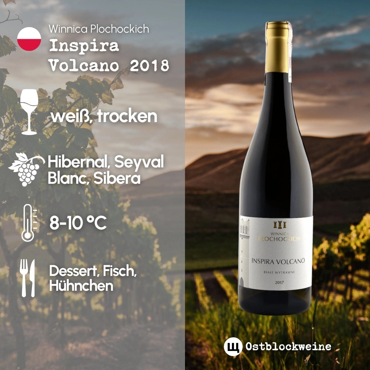 Inspira Volcano 2018 - Weißwein trocken aus Polen - Winnica Plochockich - ostblockweine