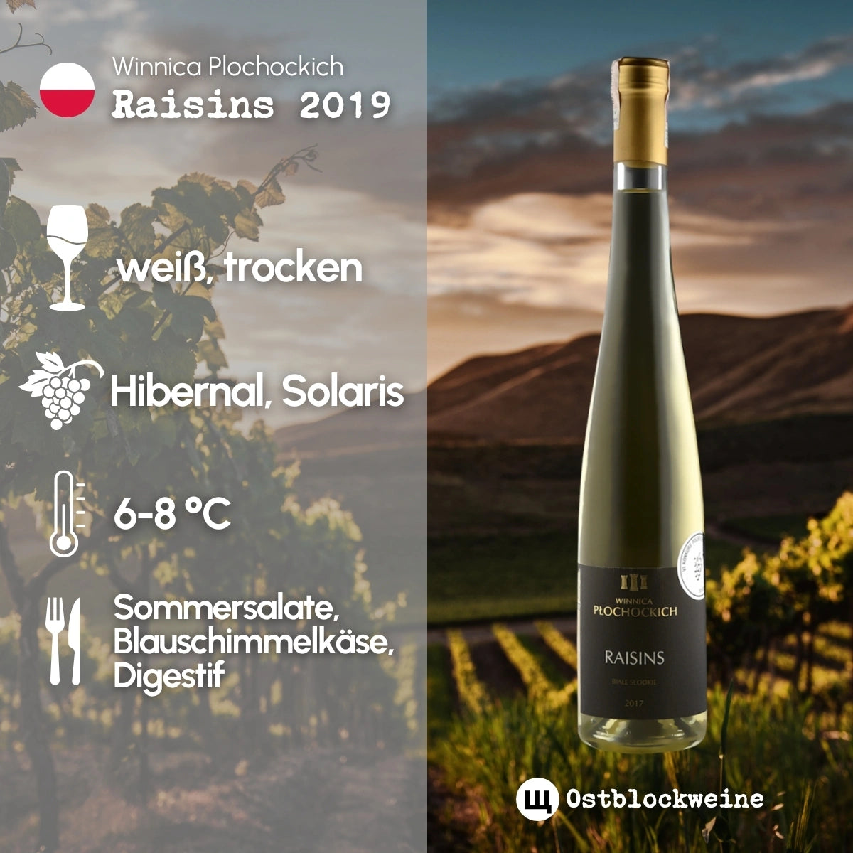 Raisins 2019 - Weißwein natursüß aus Polen - Winnica Plochockich - ostblockweine