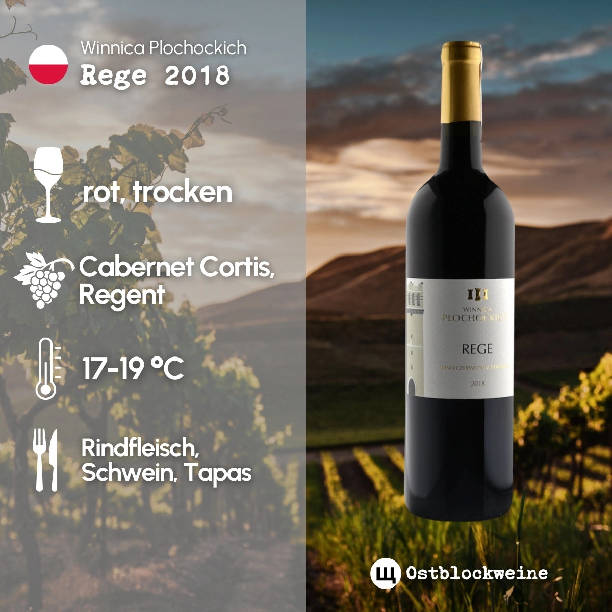 Rege 2018 - Rotwein trocken aus Polen - Winnica Plochockich - ostblockweine