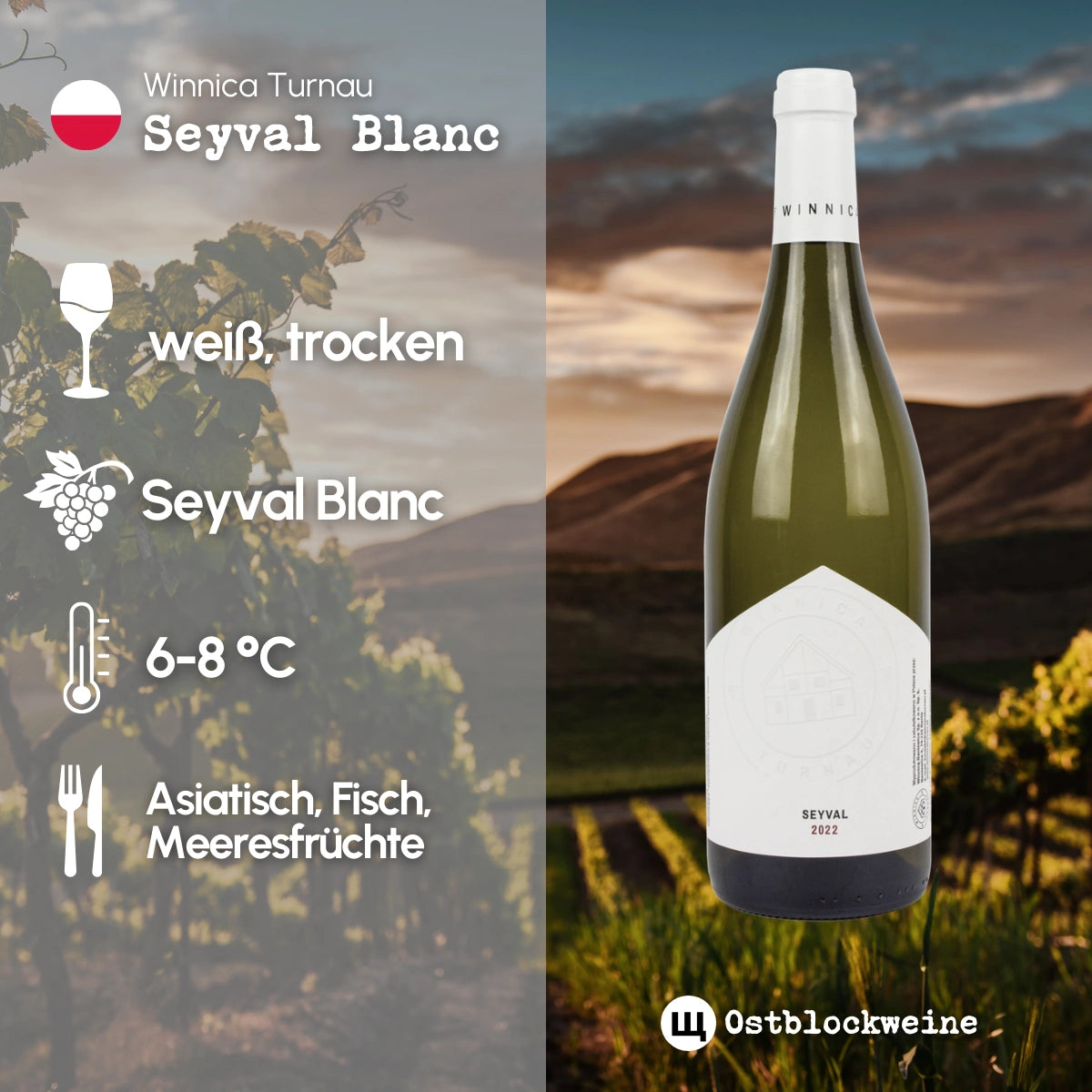 Seyval Blanc 2025 - Weißwein trocken - Winnica Turnau