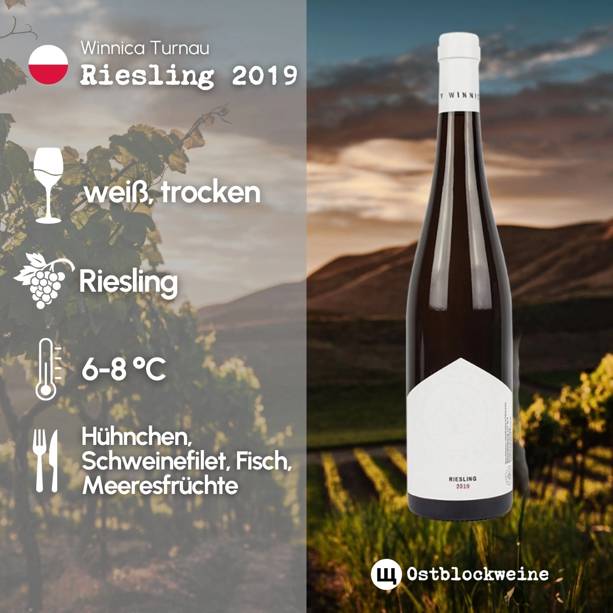 Riesling 2019 - Weißwein trocken aus Polen - Winnica Turnau - ostblockweine