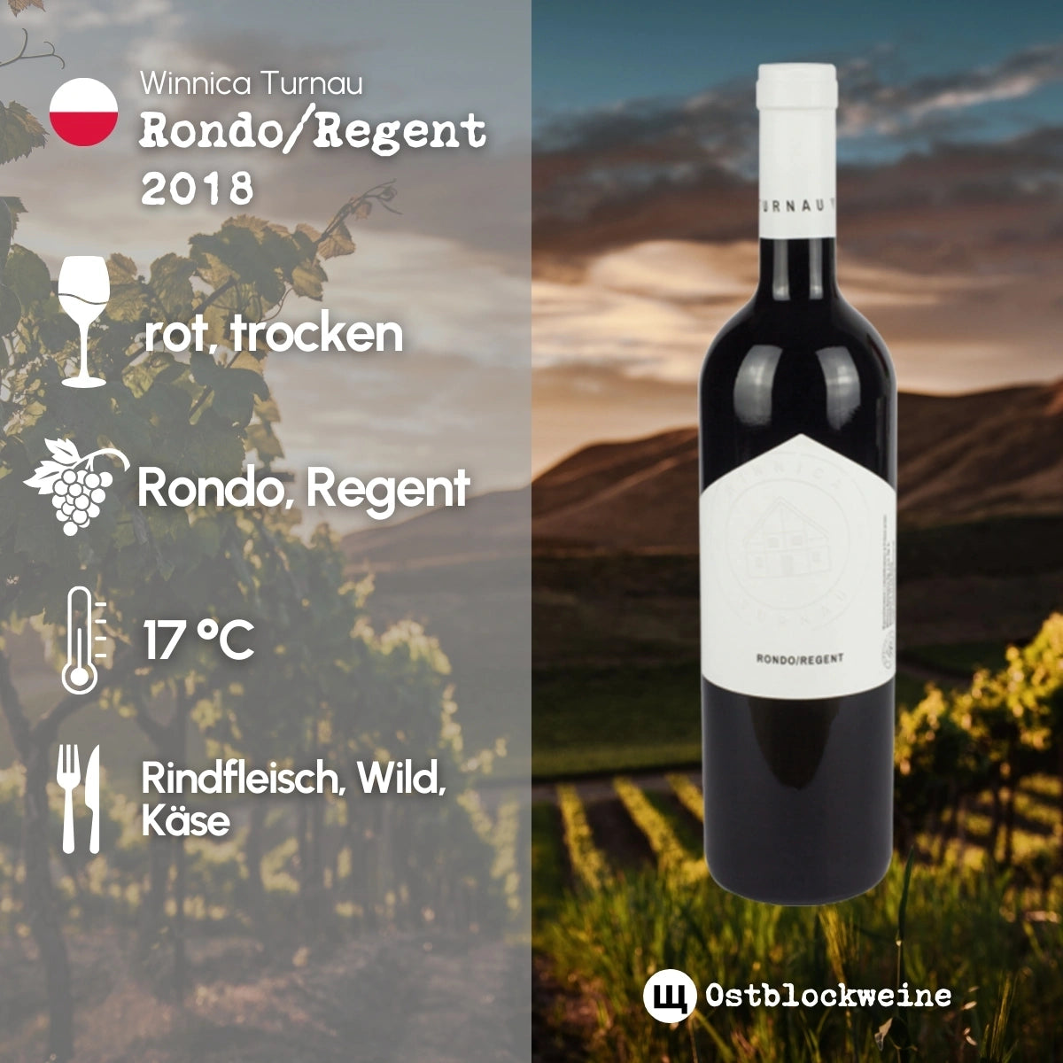 Rondo/Regent 2021 - Rotwein trocken aus Polen - Winnica Turnau