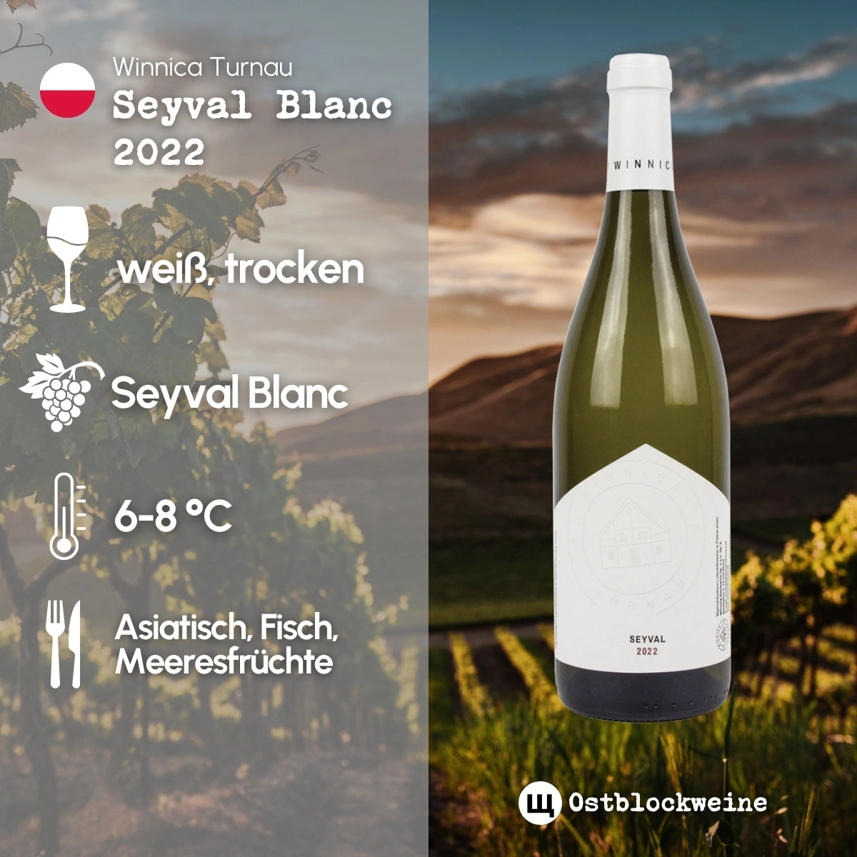 Seyval Blanc 2022 - Weißwein trocken - Winnica Turnau - ostblockweine