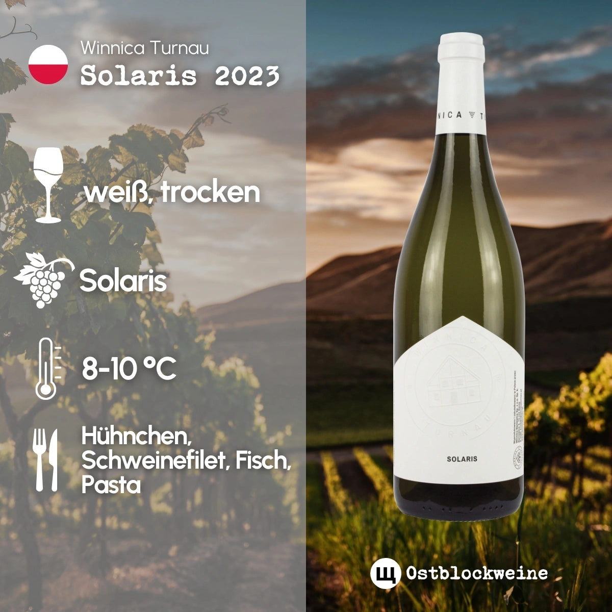 Solaris 2023 - Weißwein trocken aus Polen - Winnica Turnau