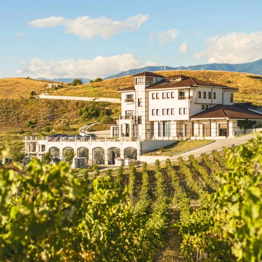 Family Tradition Rosé 2023 - Rosé trocken aus Bulgarien - Villa Melnik